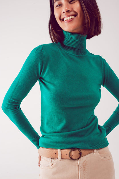 Q2 Jersey verde con cuello alto